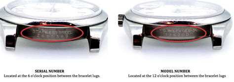 rolex back plate|rolex model number look.